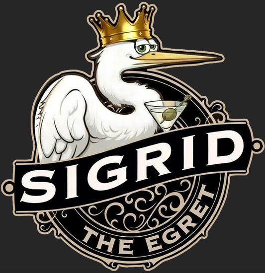 Sigrid is King Women’s relaxed v-neck t-shirt